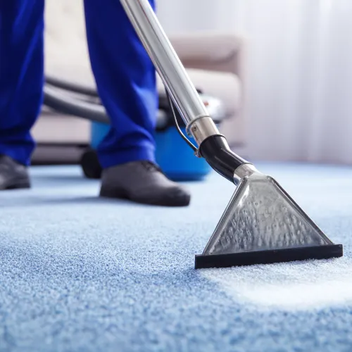 Carpet cleaning services